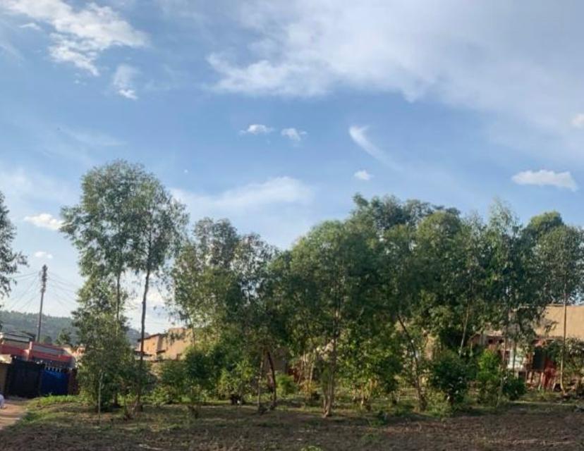 Land view 3