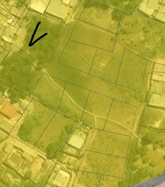 Land view 2