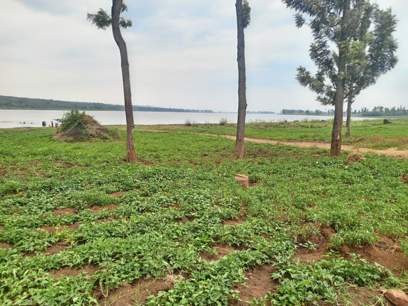 Agricultural plots