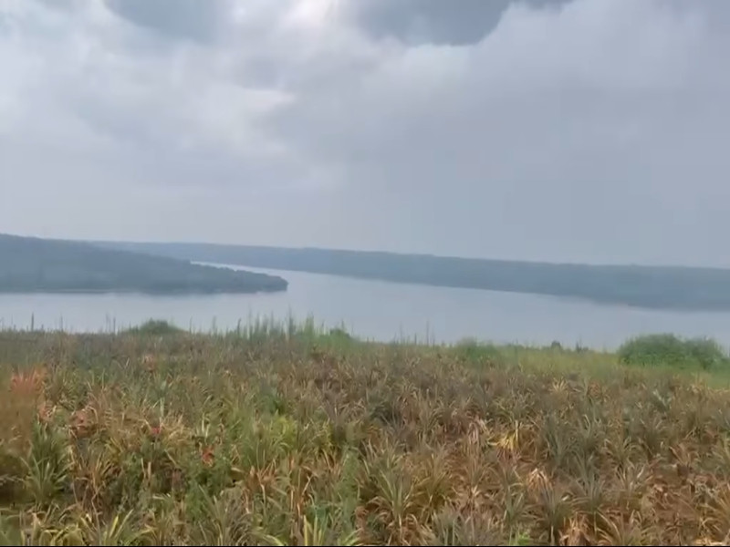 Agricultural land