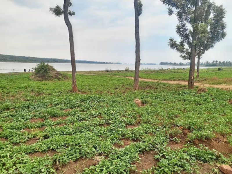 Agricultural plots