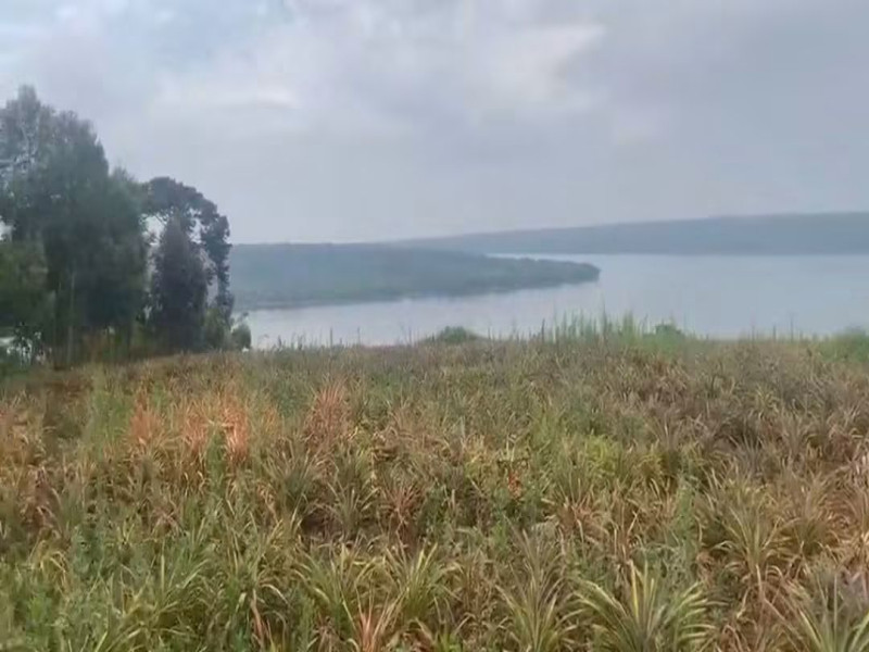 Agricultural land