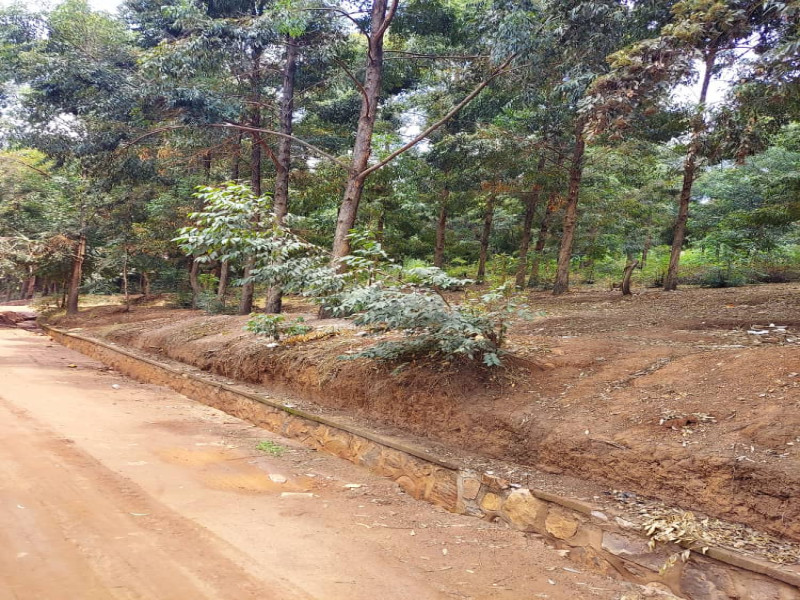 🔥 Prime Plot 1000 Sqm for Sale at Rebero - 350M - Panoramic Kigali City View