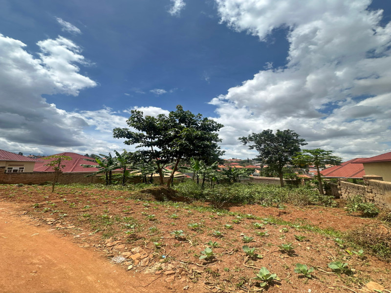 Nice plot for sale Niboyi